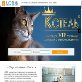 Скриншот главной страницы сайта k-otel.ru