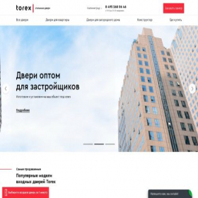 Скриншот главной страницы сайта kaliningrad.torex.shop