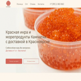 Скриншот главной страницы сайта kamchadal24.ru