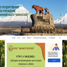Скриншот главной страницы сайта kamgosplem.ru