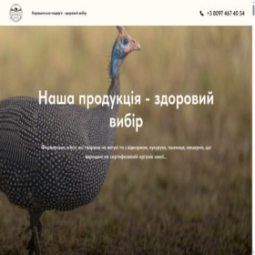 Скриншот главной страницы сайта karashynyard.com.ua