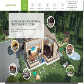 Скриншот главной страницы сайта kareldezservis.ru