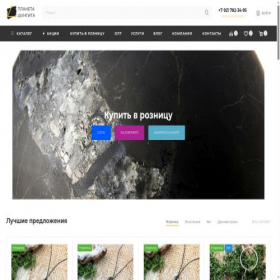 Скриншот главной страницы сайта karelshungit.com