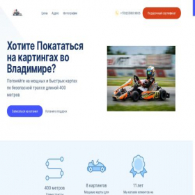 Скриншот главной страницы сайта kartingvladimir.ru