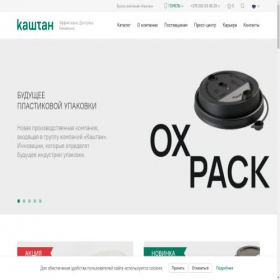 Скриншот главной страницы сайта kashtan.ru