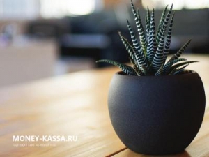 Скриншот главной страницы сайта kassa-money.ru