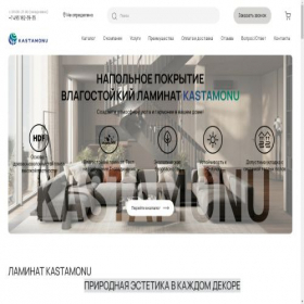 Скриншот главной страницы сайта kastamonu.com.ru
