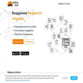Скриншот главной страницы сайта kazan.naiknisoft.ru