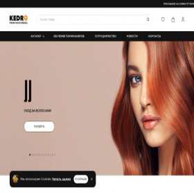 Скриншот главной страницы сайта kedro.ru