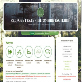Скриншот главной страницы сайта kedrovgrad.com