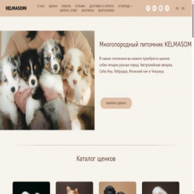 Скриншот главной страницы сайта kelmasomi.com