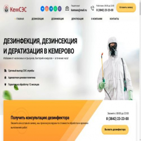 Скриншот главной страницы сайта kemses.ru