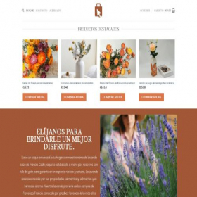 Скриншот главной страницы сайта kenkappel.com