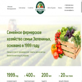 Скриншот главной страницы сайта kfx-zelenin.ru