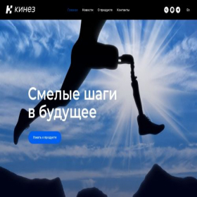 Скриншот главной страницы сайта kinez.ru
