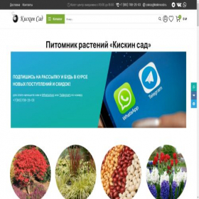 Скриншот главной страницы сайта kiskinsad.ru