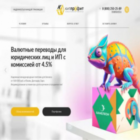 Скриншот главной страницы сайта kitprofit.ru