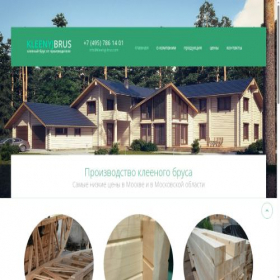 Скриншот главной страницы сайта kleenyj-brus.com