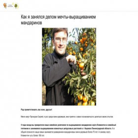 Скриншот главной страницы сайта klementibs.turbo.site