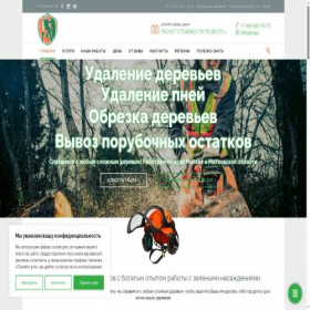 Скриншот главной страницы сайта klin-zapil.ru