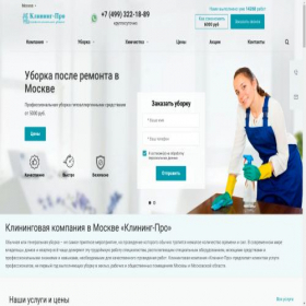 Скриншот главной страницы сайта klining-pro.ru