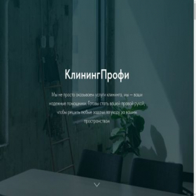 Скриншот главной страницы сайта kliningprofi-ru.ru