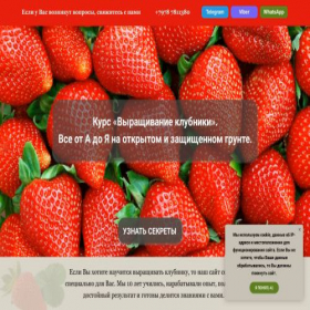 Скриншот главной страницы сайта klubnika-online-kulik.ru