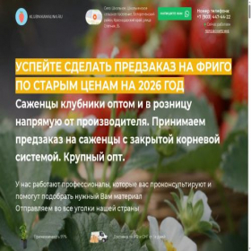 Скриншот главной страницы сайта klubnikamalina.ru