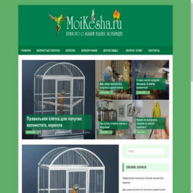Скриншот главной страницы сайта koland.site