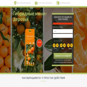Скриншот главной страницы сайта kolerols.online