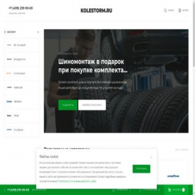 Скриншот главной страницы сайта kolestorm.ru
