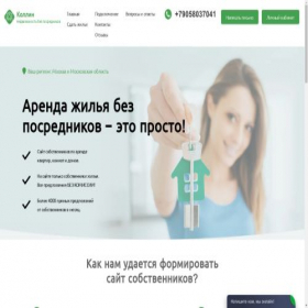 Скриншот главной страницы сайта kollin.life