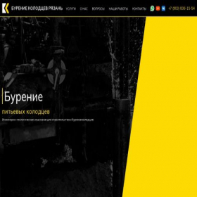 Скриншот главной страницы сайта kolodec-profirzn.ru