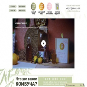 Скриншот главной страницы сайта kombuchabox.ru