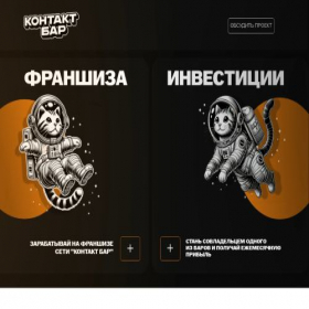 Скриншот главной страницы сайта kontaktfranch.ru