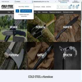 Скриншот главной страницы сайта kopeisk.coldsteels.ru