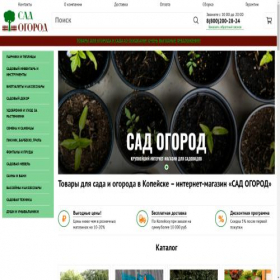 Скриншот главной страницы сайта kopeisk.v-ogorod-sad.ru