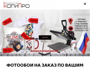 Скриншот главной страницы сайта kopipro.ru