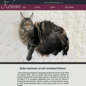 Скриншот главной страницы сайта korleonis.ru