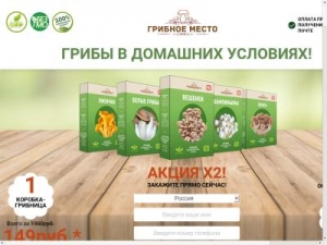 Скриншот главной страницы сайта korobka-gribov.ru