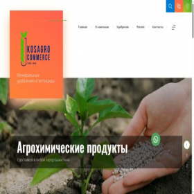 Скриншот главной страницы сайта kosagro.kz