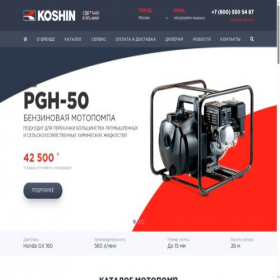 Скриншот главной страницы сайта koshin-russia.ru