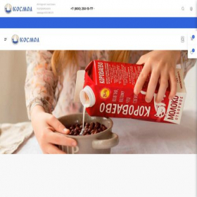 Скриншот главной страницы сайта kosmol.ru