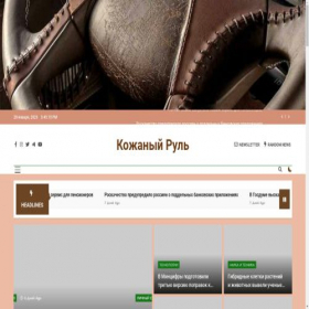 Скриншот главной страницы сайта kozha-rulit.ru