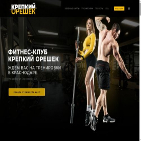 Скриншот главной страницы сайта kreporex.ru