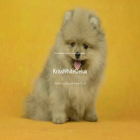 Скриншот главной страницы сайта krisswhitedelux.tilda.ws