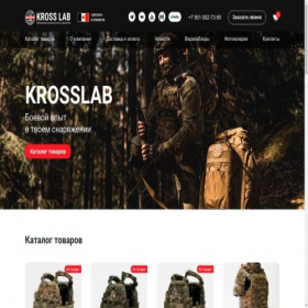 Скриншот главной страницы сайта krosslab.pro
