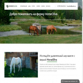 Скриншот главной страницы сайта kskpremier.ru