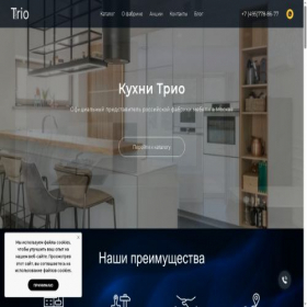 Скриншот главной страницы сайта kuhni-trio.ru