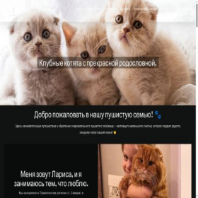 Скриншот главной страницы сайта kupi-kotenka.com